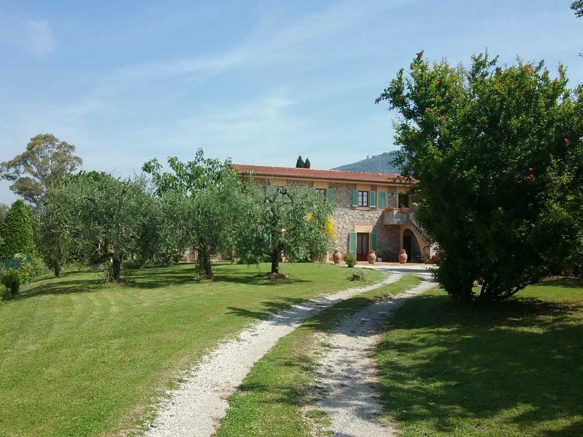 Locazione Turistica La Ginestra Apartment Monsummano Terme Exterior foto
